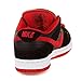 Nike NIKE DUNK LOW PRO SB Mens Sneakers 304292-039