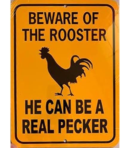 Amazon.com: Beware Chicken Metal Sign,Warning Property is