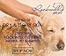 Dog Shampoo for Dry and Itchy Skin Made in The USA by Rockwell Pets Pro (16 fl oz) ideal paw cleaner for dogs with Aloe Vera Argan Oil Natural Willow Meadowsweet Chaparral and Olive Extracts