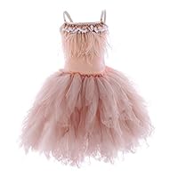 OBEEII Little Girl Swan Princess Feather Fringes Tutu Dress Pageant Party Father Daughter Dance Formal Occasion Birthday Short Tiered Gown Pink 2-3 Years