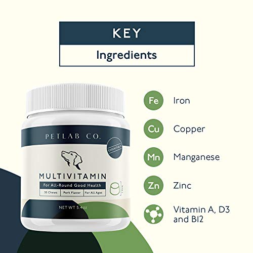 image for Petlab Co. Multivitamin Chews | Chewable Dog Vitamin Treats and Supple