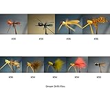Bass/Panfish Flies Fly Kit - 9 Poppers