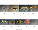 Bass/Panfish Flies Fly Kit - 9 Poppers