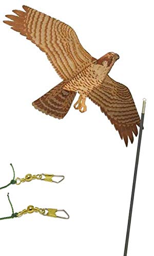 Amazoncom Bestnest Jackite Peregrine Falcon Kite Package