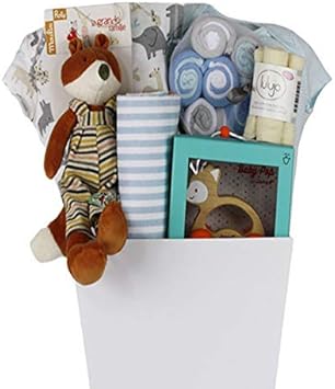 amazon baby boy gift basket