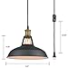 YOBO Lighting Industrial Plug-in Pendant Light with 9.8 Ft Cord and On/Off Switch