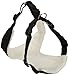 American Kennel Club 2-in-1 Seatbelt Harness, Medium
