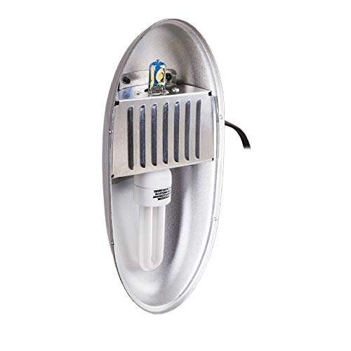 2 Zilla+Fxtr+Low+Profile+Dual