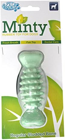 Minty Fresh Rubber Bone, Regular