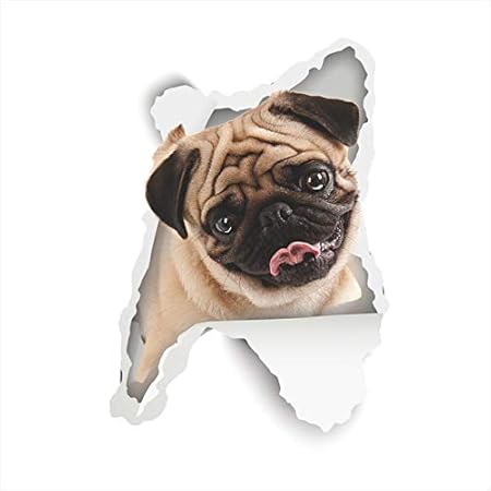 Perro De Dibujos Animados Gatito Etiqueta De La Pared Decoracion