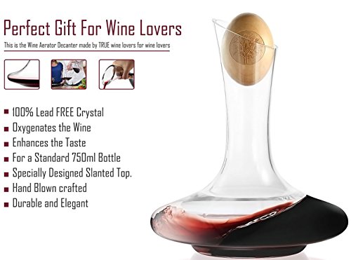 1 Wine+Decanter+Aerator+Set+Accessories