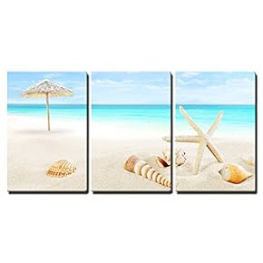 3 Piece Canvas Wall Art - Scenery of Tropical/Summer Resort. White Beach with Starfish and Seashells - Modern Home Art Stretched and Framed Ready to Hang - 16"x24"x3 Panels