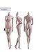 Phicen Super-Flexible Female Seamless Body with Stainlesss Steel Skeleton in Pale S07C