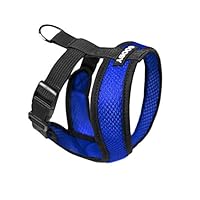 Gooby - Comfort X Head-in Harness, Choke Free Small Dog Harness with Micro Suede Trimming and Patented X Frame, Blue, Medium