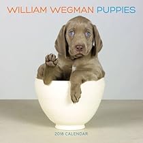 William Wegman Puppies 2018 Wall Calendar William Wegman Puppies 2018 Wall Calendar