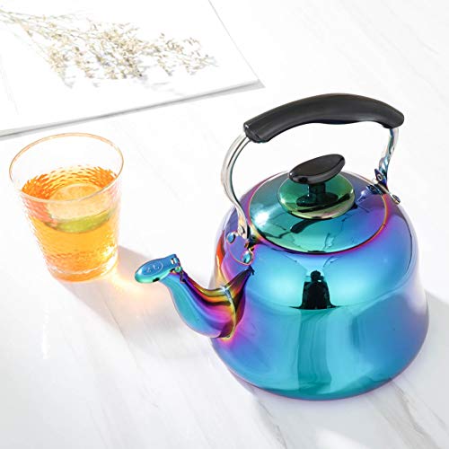 Teapot Effect Kettle at Olga Stevens blog