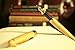 Explormate Fountain Pen - Handcrafted Refillable Bamboo Pen Set with Fine Medium Nib, Ink Refill Converter and Designer Desk Holder - Green and Eco-Friendly - Perfect for Journaling and Calligraphy