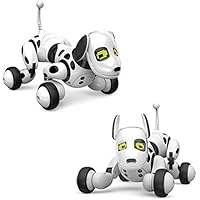 remote control rabbit dog toy