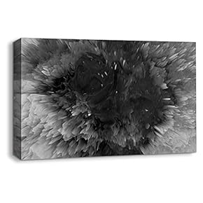 Canvas Wall Art Abstract Black and White Painting Artwork for Home Prints Framed - 12x18 inches