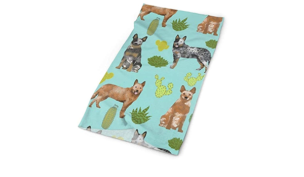 bandana para blue heeler