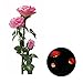 LIEYANG Solar Power 3 LED Pink Rose Flower Light Garden Waterproof Lamp Pink