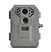 Stealth Cam P12 6mp 12IR Digital Camera (2-Pack)