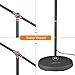 LEPOWER Metal Floor Lamp, Adjustable Head Standing Lamp with Heavy Metal Based, Reading Light for Living Room, Bedroom, Study Room and Office