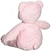 Kids Preferred Healthy Baby, Asthma and Allergy My Teddy Bear - Pink
