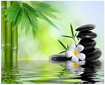 Zen Garden Jasmine Flower Relaxation Green Bamboos Collage Poster Paper Print Wall Art Living Room Home Office Decor 20 x 16 inches