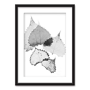 Framed Wall Art Flowers Giclee Printed Art in Black Picture Frames White Matting - 23x31 inches