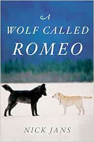 A Wolf Called Romeo Jans Nick 9780547858197 Amazon Com Books