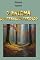 Livro O Enigma Do Tesouro Perdido