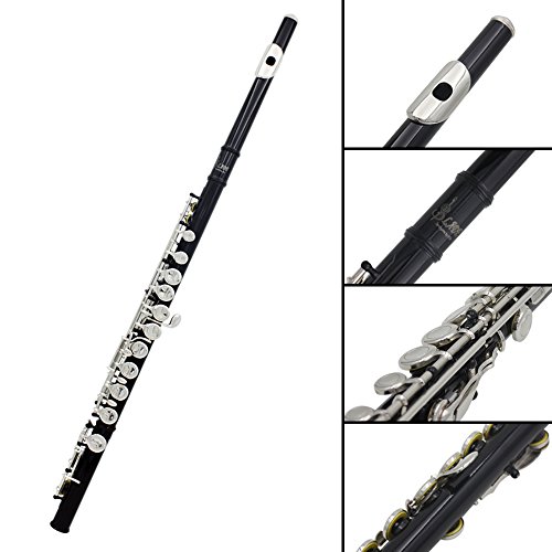 Anmas Home 16 Key Closed Hole C Flute With Case,Cleaning Rod,Cloth,Joint Grease and Screw Driver (Black)