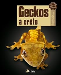 Geckos à crête