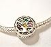 Pandora Silver Jewelry & Charms Polishing Cloth