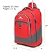 High Sierra Chaser Wheeled Laptop Backpack, Crimson/Mercury, 20 x 13.5 x 8-Inch
