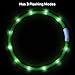 BSEEN LED Dog Collar USB Rechargeable (Fluorescent Green)thumb 1