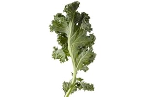 SAVOR IMPORTS Savor Brands Individual Quick Frozen Chopped Kale, 3 Pound - 6 per case.
