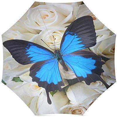 Umbrella Butterfly Foldable Rain Compact Parasol/Sun