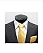 Men's Solid Color Microfiber NeckTie (Gold) #100-JJ