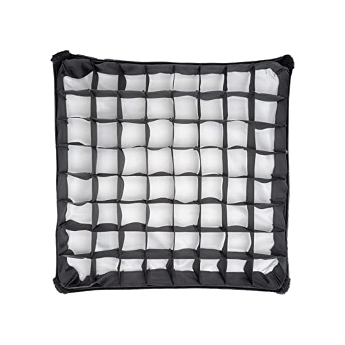 Aputure LS 60 Softbox for Aputure LS 60D and Aputure LS 60X Led Video Light,45° Light Control Grid