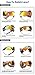 Duco POLARIZED Sports Sunglasses Cycling Glasses With 5 Interchangeable Lenses 0028