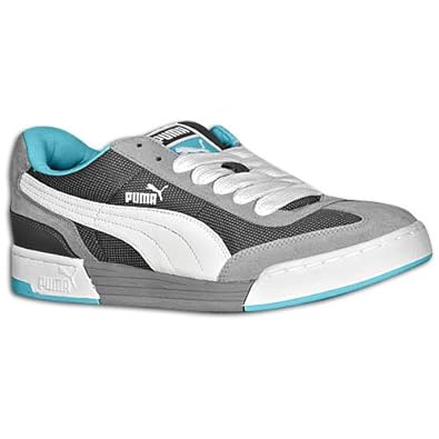 a puma at large exercise