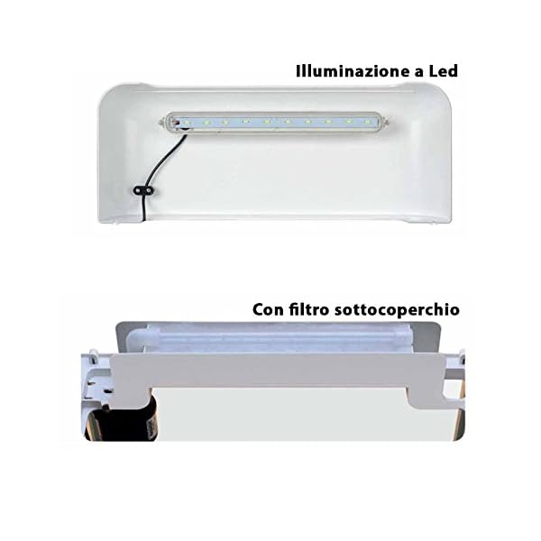 Mantovani Derby Pet Diffusion Acquario in Vetro, Bianco/ Trasparente, 15 L, 4500 G