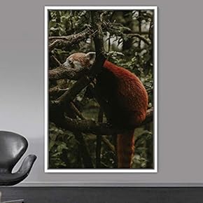 signwin Framed Canvas Wall Art Red Panda Animals...