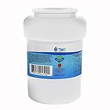 Tier1 Replacement for GE MWF SmartWater, MWFP, MWFA, GWF, GWFA, HWF, Kenmore 9991, 46-9991, 469991 Refrigerator Water Filter