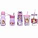 Zak Designs STFA-K870-B Water Bottles, Single, Sofia The First