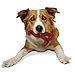 Nylabone Holiday Dino Power Chew DuraChew Toy, 2 Pack