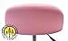 DevLon NorthWest Salon Stool with Back Rest Saddle Hydraulic Spa Stool (LIGHT PINK)