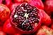 *SWEET DWARF POMEGRANATE TREE* 10 SEEDS *rare* #1056 primary